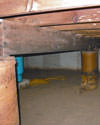 Mold and rot thriving in a dirt floor crawl space in Bremerton
