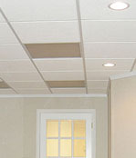 Basement ceiling tiles - Centralia and Port Orchard