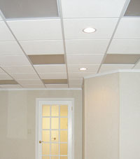 Basement Ceiling Tiles for a project we worked on in Rochester, Washington