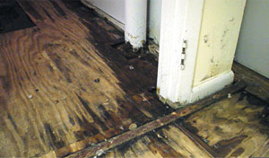 Wood Floor Mold