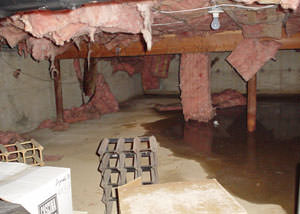 Fiberglass dripping off of the ceilings of a Port Angeles crawl space