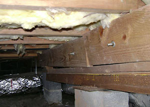 A sagging crawl space with concrete supports and wooden shimming a Kingston crawl space