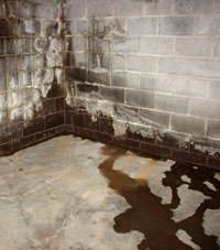 Water seeping through a concrete wall in a Olalla basement