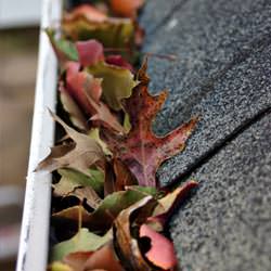 Clogged gutters filled with fall leaves  in Allyn